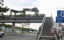 “Các cầu đi bộ đã trót làm nên cải tạo lại như đề xuất”