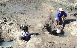Chuyện động trời ở Ninh Thuận: Lấy gạo mục cứu đói cho dân
