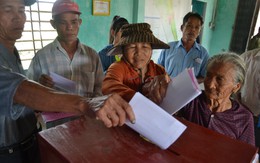 “Làng Chanchu” đi bỏ phiếu