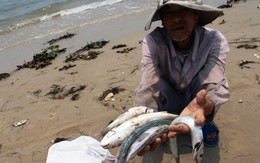 Giá thực phẩm tăng