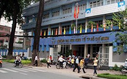 Đào tạo đại trà theo chương trình  trường top 200 thế giới