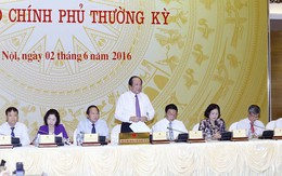 Đã tìm ra nguyên nhân cá chết nhưng chưa công bố vì đang phản biện