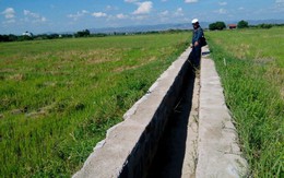 “Đúng quy trình”, nghe phát ớn!