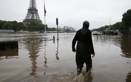 Nước sông Seine dâng cao, bảo tàng Louvre đóng cửa