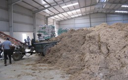 ​Điều chỉnh thuế xuất khẩu than mùn cưa