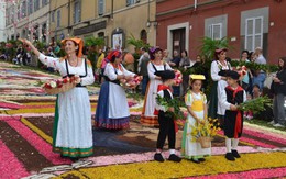 5 lễ hội hoa mùa hè ấn tượng nhất thế giới