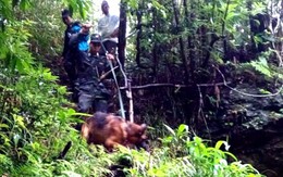 Tìm thấy thi thể du khách Anh lạc ở Fansipan