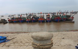 Sớm đưa nước ta thành quốc gia mạnh giàu từ biển