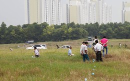 Xét xử 2 vụ án liên quan dự án Ecopark - Văn Giang