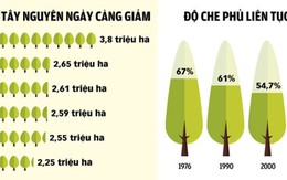 Mục tiêu 2020: rừng Tây nguyên đạt độ che phủ bằng... cách nay 5 năm