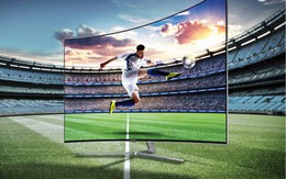​Khi bạn là một tín đồ của Euro Cup