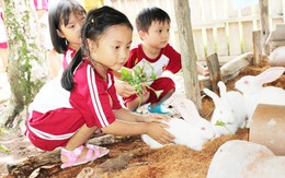 ​Cùng bé khám phá “Funny Farm” tại trường Saigon Academy