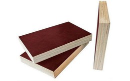 Thế mạnh một số loại ván ép công nghiệp