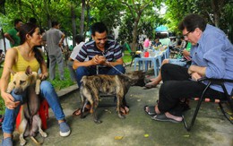 Các chú chó đẹp nô nức chuẩn bị tranh tài Dog Show