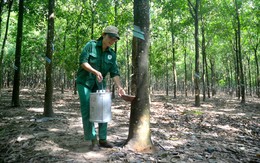 Chuyện về An “tuyệt vời”