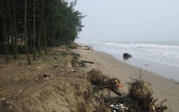 Hàng trăm hộ dân lên ruột ngó bờ biển ăn vô nhà