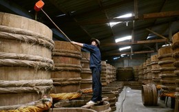 Vệ sinh hầm chứa nước mắm, ba người bất tỉnh