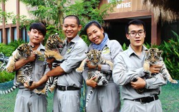 Nhiều “công dân” mới  ở Safari Phú Quốc