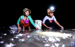 Giúp mẹ nhặt nghêu