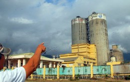 LafargeHolcim VN bán 65% cổ phần cho Thái Lan