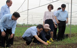 Đề nghị thành lập Quỹ an toàn thực phẩm