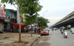 Doanh nghiệp làm nghĩa trang tro cốt giữa thủ đô: Chỉ là đề xuất