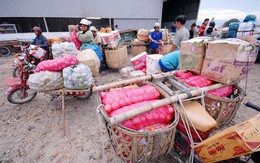 Chủ vựa trái cây thuê người tạo hiện trường giả bị cướp 70 triệu