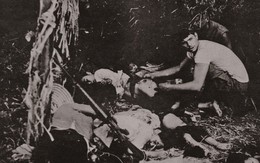 Nhà báo Koh Kyoung Tae: Sự thật chữa lành vết thương
