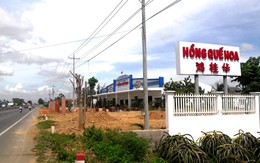 Vựa thanh long xây lấn hành lang quốc lộ 1