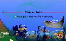 Hải sản nào an toàn và chưa an toàn ở bốn tỉnh miền Trung?