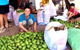 “Nhút Thanh Chương, tương Nam Đàn” trên miền đất đỏ