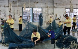 Những người vá lưới cho Nhật