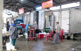Quảng Bình khẩn trương xử lý 4.000 tấn hải sản tồn đọng