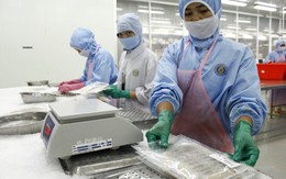 VN trở thành trung tâm  chế biến thủy sản thế giới