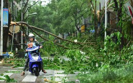 Chùm ảnh bão Sarika đổ bộ đảo Hải Nam