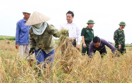 Phó thủ tướng Trịnh Đình Dũng về Hải Phòng chỉ đạo chống bão