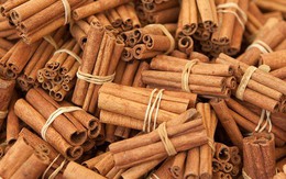 ​Bảo hộ chỉ dẫn địa lý cho quế Thường Xuân