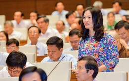Phải ngăn xã hội đen uy hiếp đấu giá tài sản