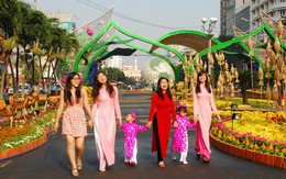 Đường hoa xuân Đinh Dậu 2017 phải có nhiều hoa đẹp, lạ