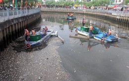 Lắp vòi bơm, máy quạt giúp cá sống ở kênh Nhiêu Lộc