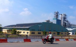 Báo cáo, thẩm tra các dự án 'phá' nghìn tỉ mới là 'bắn chỉ thiên'