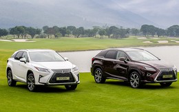 ​Toyota VN triệu hồi Lexus RX 350,  RX200t để sửa túi khí