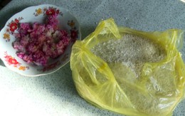 Giám định cơm đổi màu đỏ, tím, vàng ở Vĩnh Long