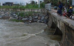 Biển “chết” vì nước thải