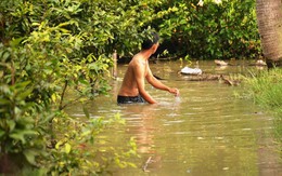 Nước tràn bờ bao sông Sài Gòn, dân lại lội nước