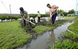 Chống lợi ích nhóm, trục lợi quy hoạch