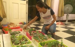 Sinh viên kinh doanh online từ tình yêu cây cỏ