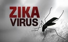 TP.HCM: 17 quận huyện ghi nhận ca bệnh do virút Zika