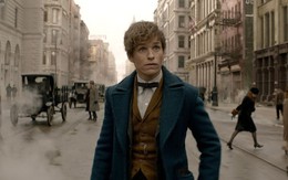 Liên quan ông Trump, Fantastic Beasts... có doanh thu 'khủng'