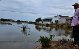 Tỉnh ra quyết định thiếu nhất quán, gây khó cho dân